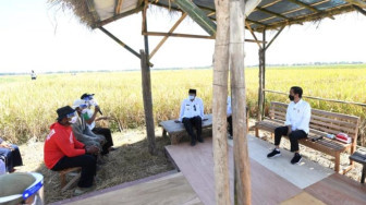 Strategi Sukses Swasembada Beras Perlu Diadopsi untuk Komoditas Pangan Lain