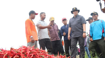 Ingin Tahu Problema Pasar Cabai, Kapolda Temui Langsung Petani