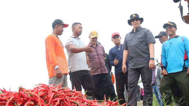 Ingin Tahu Problema Pasar Cabai, Kapolda Temui Langsung Petani