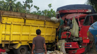Dua Truk Tabrakan di Batas Jambi - Sumsel, Kedua Sopir Tewas