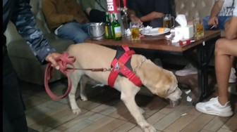 Polisi Bawa Anjing Pelacak Razia Tempat Hiburan Malam
