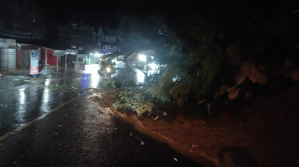 Hujan Deras, Jalan Menuju Kerinci Tertutup Pohon Roboh  dan Tanah Longsor