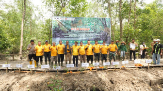 Dukung G20, SKK Migas - KKKS Tanam Ribuan Pohon Mangrove di Jambi