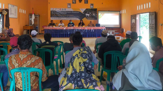 Warga Desa Terjun Gajah Dapat Pelatihan Pengembangan Kambing Peranakan Etawa dari SKK Migas - PetroChina