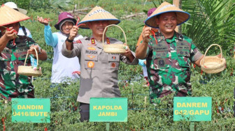 Kapolda Jambi Panen Raya Cabai di Rimbo Ilir