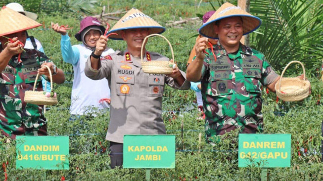 Kapolda Jambi Panen Raya Cabai di Rimbo Ilir