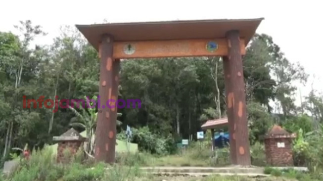 Pembukaan Jalur Pendakian Gunung Kerinci Masih Dikaji