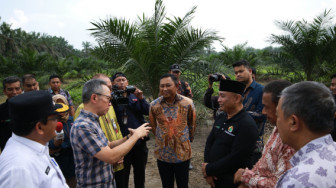 Kabar Gembira Bagi Petani Sawit... OJK Dorong Peningkatan Akses Pendanaan