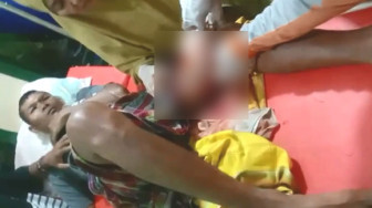 Gara-Gara Keras Kepala, Mansur Dimangsa Buaya