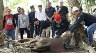 Berbagi dengan Masyarakat, Bank Jambi Sembelih 52 Hewan Kurban