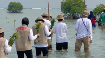 Insan PetroChina Menanam Harapan melalui Donasi 5.000 Mangrove