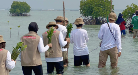 Insan PetroChina Menanam Harapan melalui Donasi 5.000 Mangrove