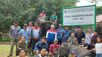 SKK Migas - PHR Lestarikan Gajah Sumatra Bersama BKSDA Riau