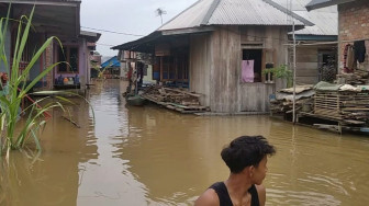 Banjir Kota Jambi Terus Naik, Ribuan Rumah di Pelayangan Bakal Terdampak
