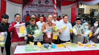 Polda Jambi Musnahkan Narkoba Bernilai 30 Miliar Rupiah