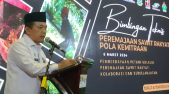 Gubernur Jambi Minta Kementerian Pertanian Tambah Kuota Peremajaan Sawit di Tanjabtim