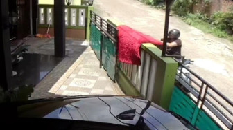 Nekat… Maling Gondol Karpet Cuma dari Atas Motor