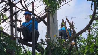 Tingkatkan Kehandalan Kelistrikan Kota Jambi, PLN ULP Kota Baru Laksanakan Program GOES'R dan Himbau Bahaya Kelistrikan