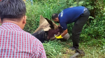 Kakek Nain DItemukan Tewas di Semak Belukar