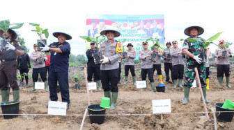 Kapolda Jambi-Danrem 042 Gapu Jambi Launching Gugus Tugas Dukung Ketahanan Pangan