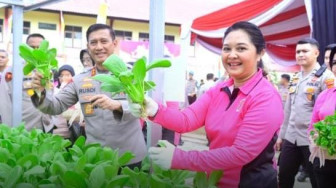 Dukung Ketahanan Pangan, Kapolda Jambi Beserta Ketua Bhayangkari Panen Perdana dan Tebar Bibit Ikan