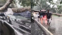 Mobil Ditimpa Pohon, Anggota Polres Tanjabtim Tewas