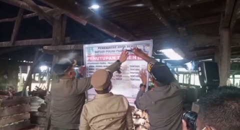 Walikota Maulana Segel Peternakan Babi di Sijenjang