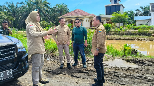 Bupati Tanjung Jabung Timur Bersama Gubernur Tinjau Jalan Sabak - Nipah Panjang, Rencana Perbaikan Multiyear