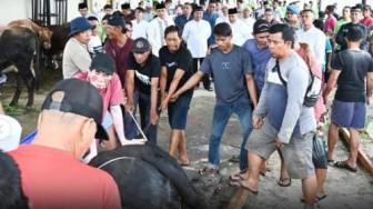 Hari Raya Idul Adha 1446 H, Polda Jambi Sembelih 15 Sapi dan 3 Kambing