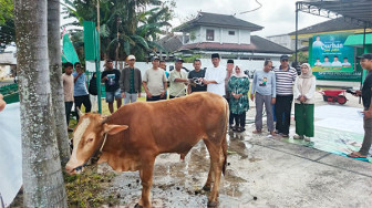 DPW PKB Provinsi Jambi Kurban Tiga Sapi, Elpisina: Kontribusi Nyata PKB
