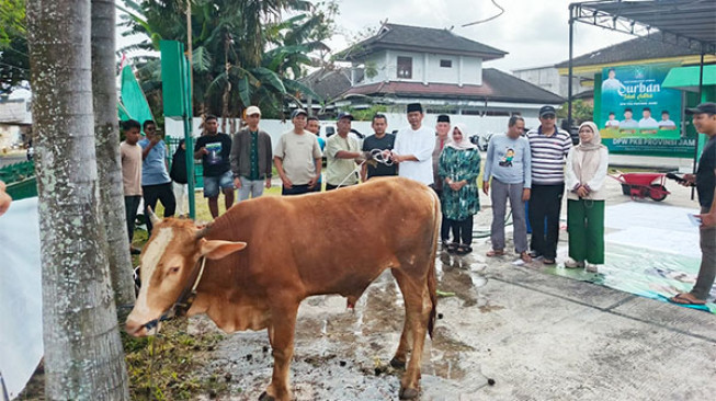 DPW PKB Provinsi Jambi Kurban Tiga Sapi, Elpisina: Kontribusi Nyata PKB