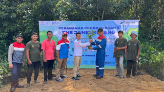 Peringati Hari Lingkungan Hidup se-Dunia, PHR Zona 1 Tanam 4.000 Pohon