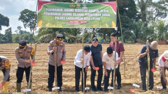 Wabup Gerry Trisatwika Tanam Jagung Serentak Di Desa Lidung