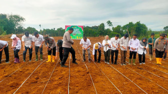 DTPH dan DKP Tanjabtim Apresiasi SKK Migas PetroChina Dukung Ketahanan Pangan dan Ikut Penanaman Serentak Kuartal III