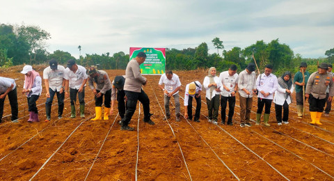 DTPH dan DKP Tanjabtim Apresiasi SKK Migas PetroChina Dukung Ketahanan Pangan dan Ikut Penanaman Serentak Kuartal III