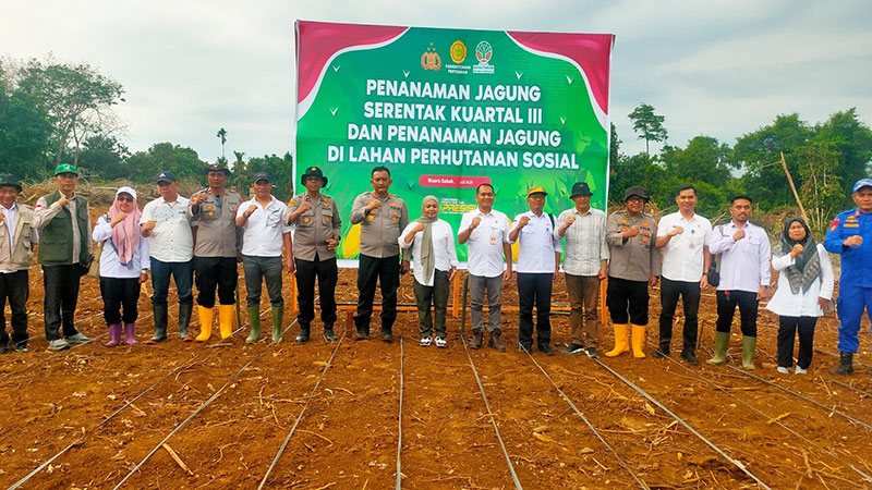 Penanaman benih jagung bantuan dari SKK Migas—PetroChina International Jabung Ltd, di Kabupaten Tanjung Jabung Timur, Jambi, Rabu | henrosta