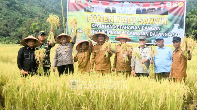 Bupati Sarolangun Hadiri Panen Raya di Sungai Bemban Kecamatan Batang Asai