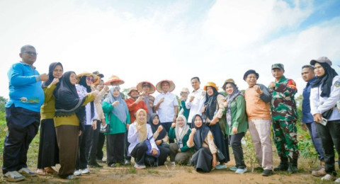 Bupati Sarolangun Hadiri Panen Jagung dan Lele di Desa Batu Ampar Pauh, Dorong Ketahanan Pangan Daerah