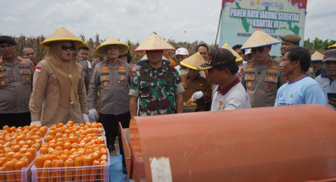 Panen Raya Jagung Serentak di Tanjab Timur, Danrem 042/Gapu Tegaskan Komitmen Ketahanan Pangan
