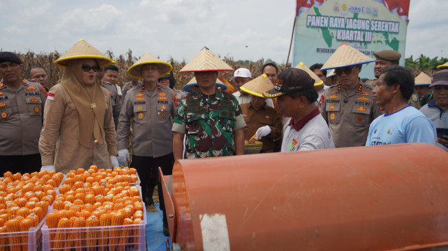 Panen Raya Jagung Serentak di Tanjab Timur, Danrem 042/Gapu Tegaskan Komitmen Ketahanan Pangan