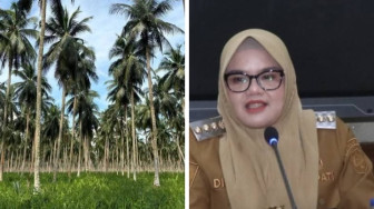 RPPEG Kabupaten Tanjab Timur, Legacy Pertama Dillah Hich Sebagai Bupati..?