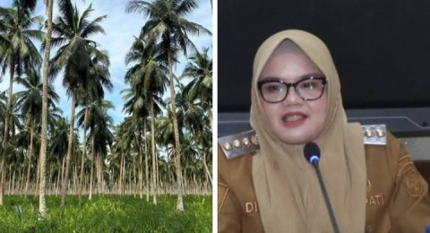 RPPEG Kabupaten Tanjab Timur, Legacy Pertama Dillah Hich Sebagai Bupati..?