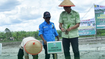 Bupati Batang Hari Lakukan Penanaman Perdana Padi Sawah di Batin XXIV
