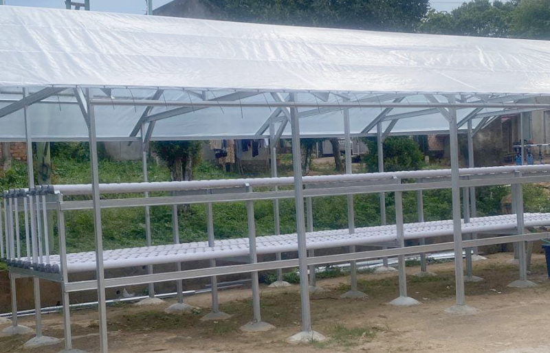 Tim Dosen Universitas Jambi melakukan pengabdian pelatihan dan instalasi hidroponik  di Pondok Pesantren Tahfidz Ma'had Rizqullah, Kabupaten Muaro Jambi | rel