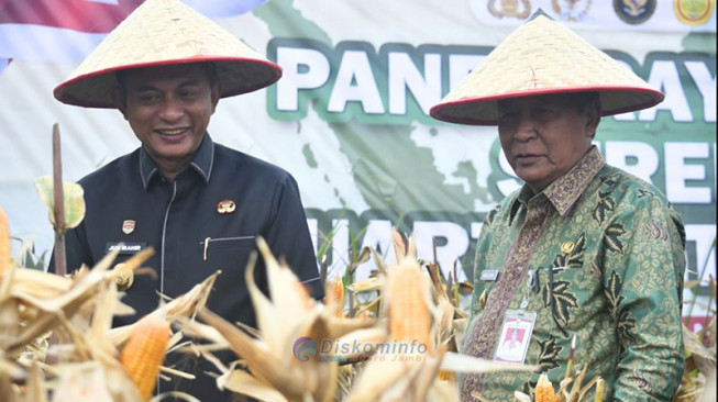 Panen Raya Jagung Bukti Sinergi Polri dan Pemda Muaro Jambi
