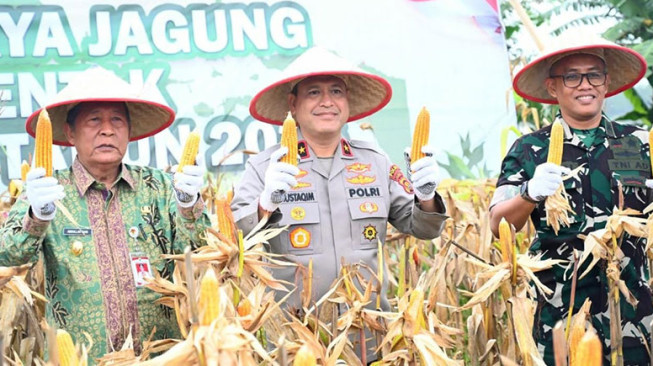 Panen Raya Jagung Kuartal I 2026, Polri Perkuat Ketahanan Pangan Nasional