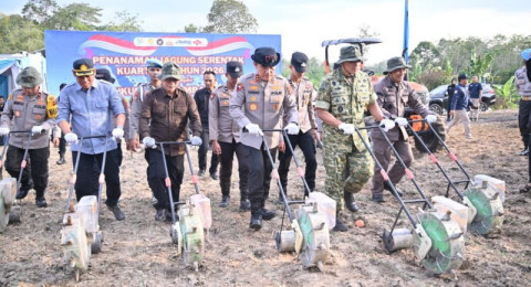 Dukung Ketahanan Pangan Nasional, Polda Jambi Gelar Tanam Jagung Raya Serentak Kuartal I Tahun 2026