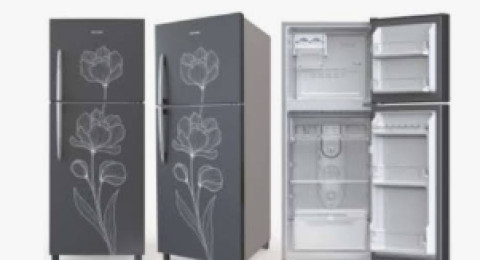 Harga Kompetitif! Ini 3 Rekomendasi Kulkas 2 Pintu Dari Polytron!