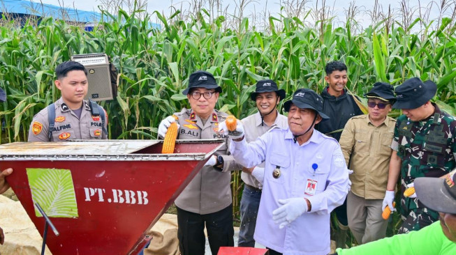 Polda Jambi Gelar Panen Raya Jagung Serentak Kuartal II 2026, Dukung Program Ketahanan Pangan Nasional