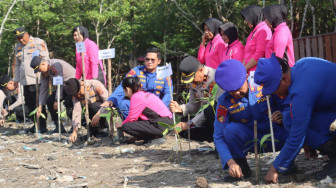 Menjelang HUT Bhayangkara ke-80, Ditpolairud Polda Jambi dan Polres Tanjab Barat Tanam 2.000 Mangrove serta Tebar 2.000 Bibit Ikan